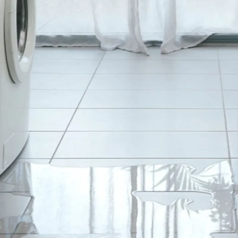 Appliance Leak Cleanup in Lake Oswego, OR